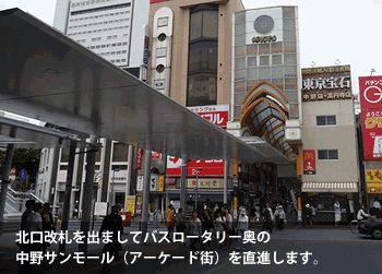 かめきちへの道 かめきちへの道